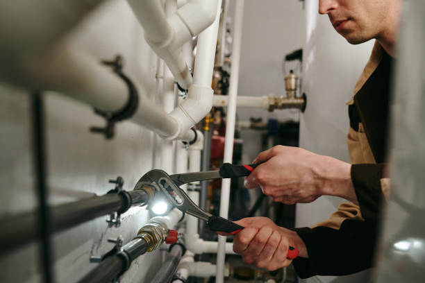 Best Local Plumber Services  in Harlan, IN